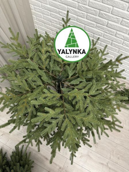 Ялинка лита Європейська зелена 1,6 м 10203 фото