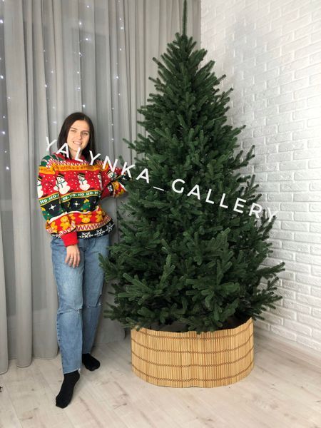 Ялинка лита Віденська зелена 2,1 м 10027 фото