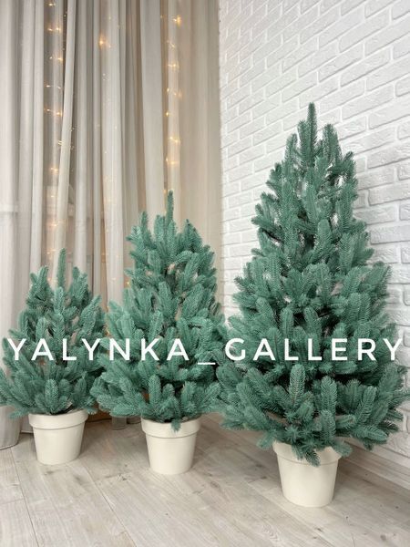 Ялинка лита в горщику Лапландська блакитна 1,1 м 52132 фото